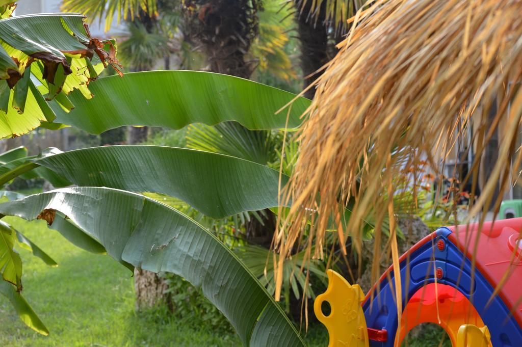 Lilalo Ηotel Paralia Katerinis Ngoại thất bức ảnh